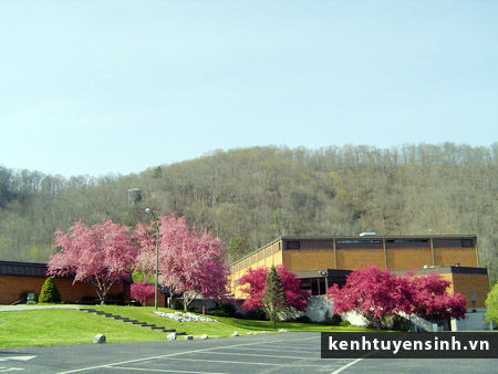 Trường Trung học Allen